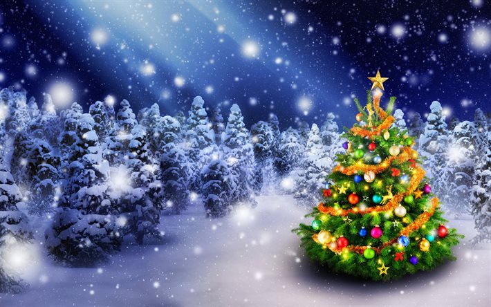 冬, 森林, 新年, クリスマス, クリスマスツリー, 花輪