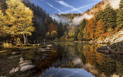 autumn, mountain lake, rock, mountain, forest, Fischboedle, Reflet, France