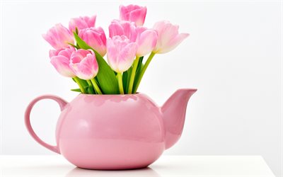 tulipani, rosa, vaso di tulipani rosa, fiori, primavera