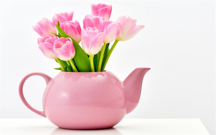 チューリップ, ピンクの花瓶, ピンクのチューリップ, ピンクの花, 春
