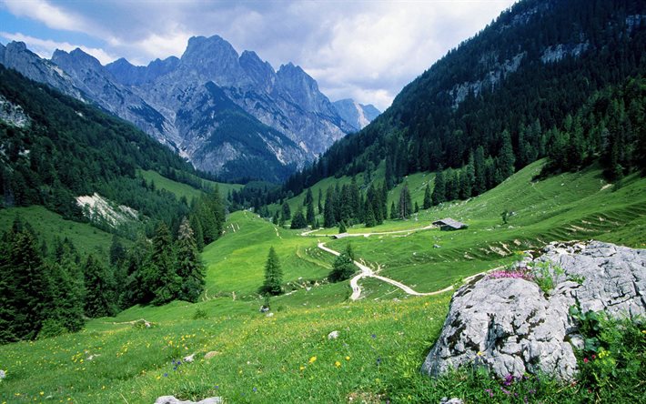 les montagnes, la route, l'été, Alpes, Suisse