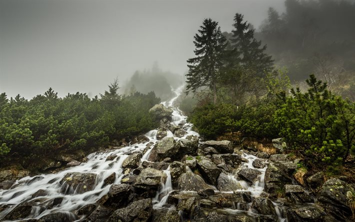 Waterfall, mountain river, fog, mountains, Poland