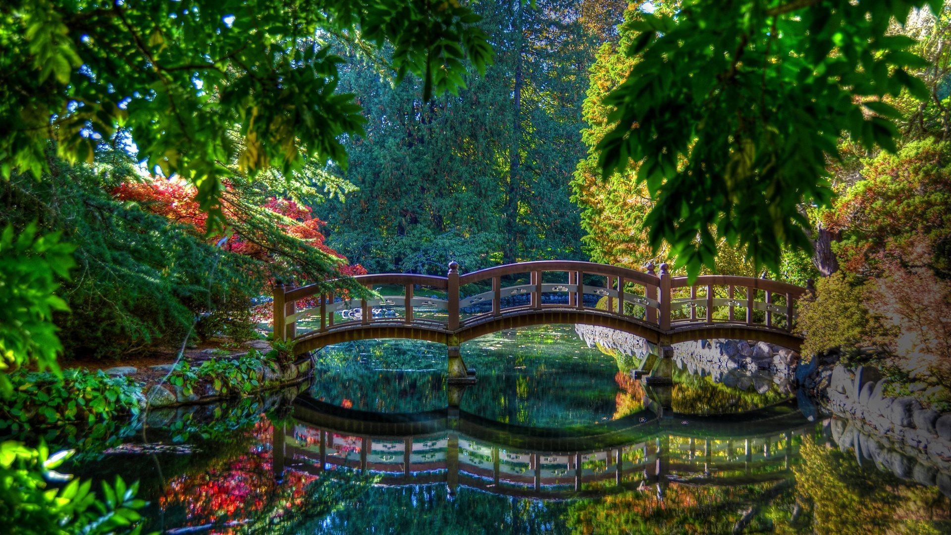 ダウンロード画像 池の 自然 夏 Mostok 平和 木 画面の解像度 19x1080 壁紙デスクトップ上