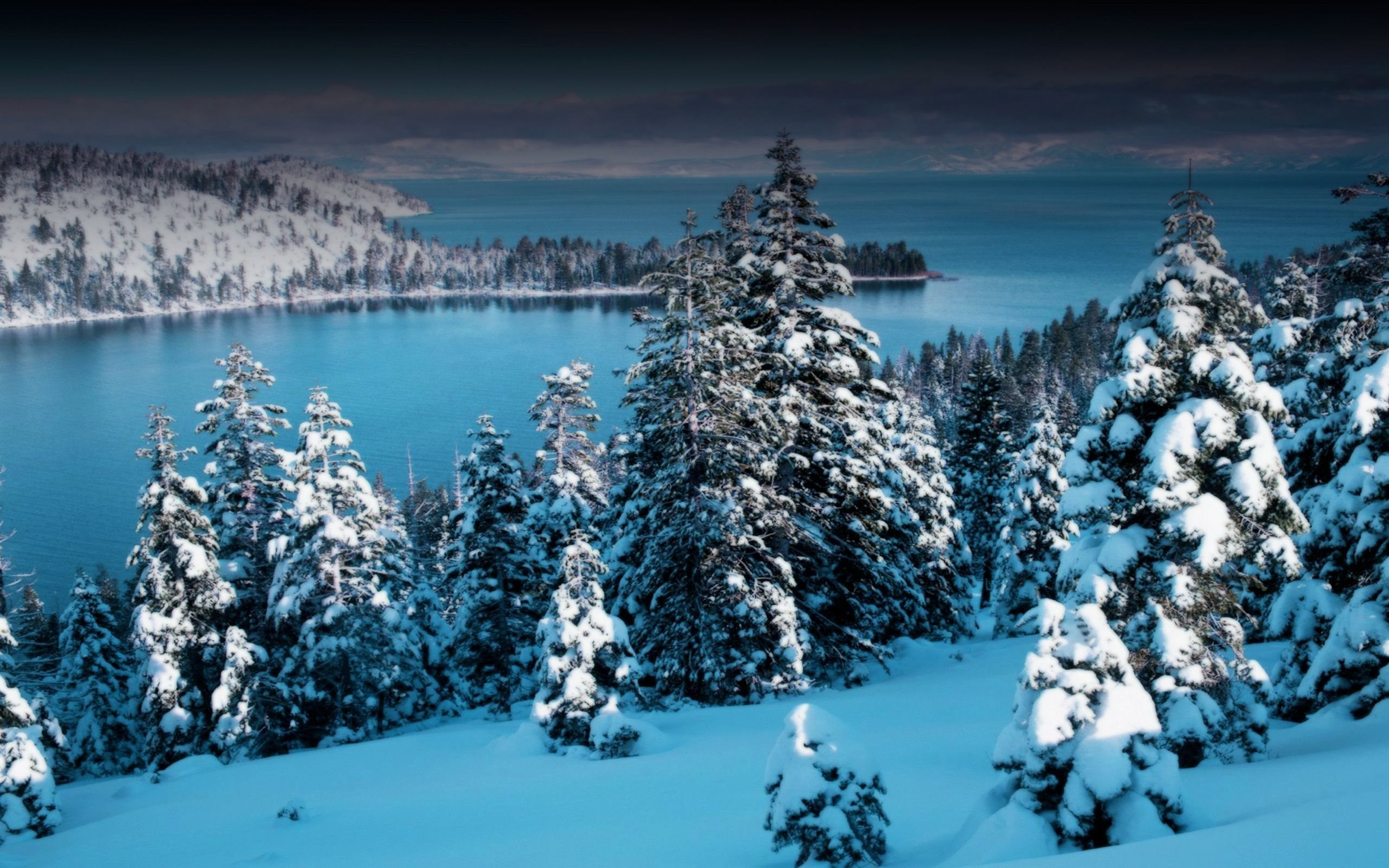ダウンロード画像 雪 冬 ツリー 湖 画面の解像度 2560x1600 壁紙デスクトップ上