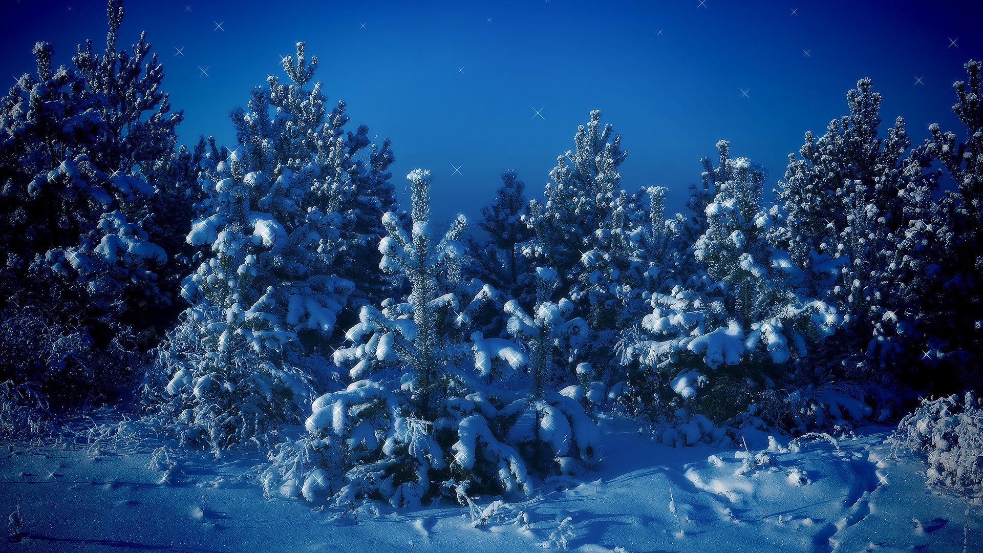 ダウンロード画像 食べ ツリー 風景 夜 冬 雪 木 画面の解像度 19x1080 壁紙デスクトップ上