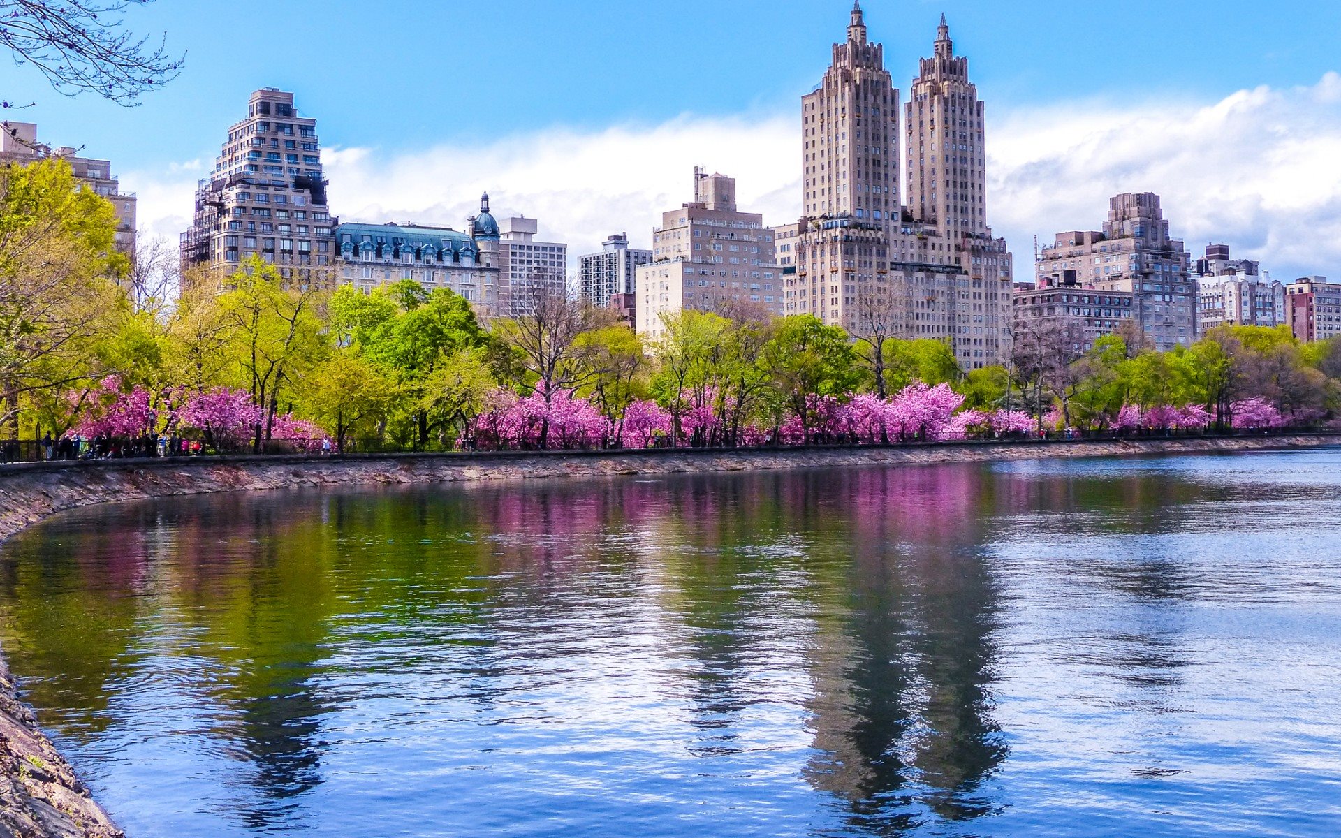 ダウンロード画像 中央公園 春 春の花 米国 ニューヨーク 画面の解像度 19x10 壁紙デスクトップ上
