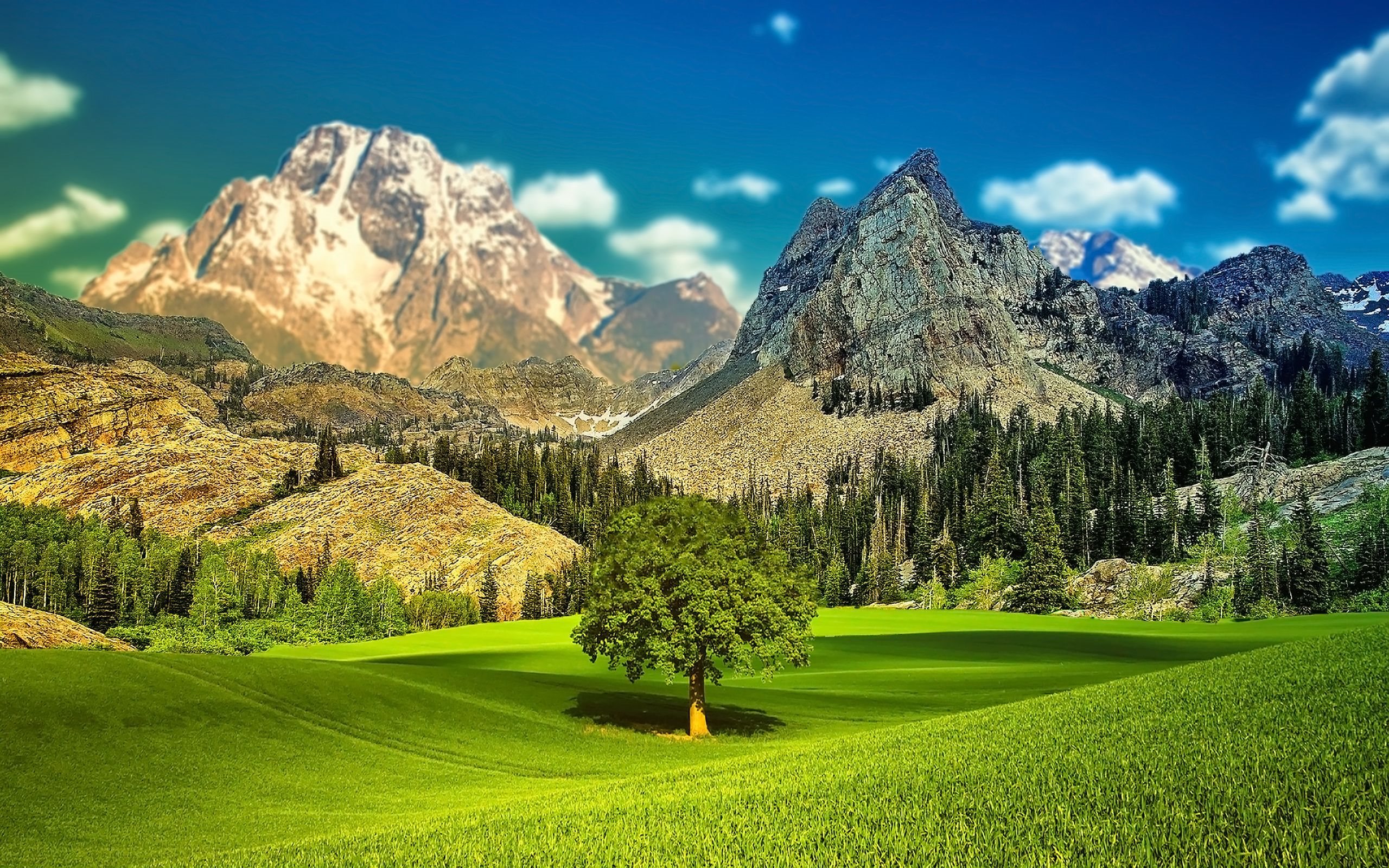 ダウンロード画像 山々 メドウズ 空 自然 夏 画面の解像度 2560x1600 壁紙デスクトップ上