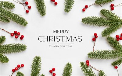 Merry Christmas, Happy New Year, Christmas tree branches, pine branches, white christmas background, template for Christmas greeting card
