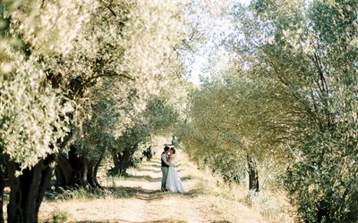casal de noivos, casamento, amor, passarela, árvores