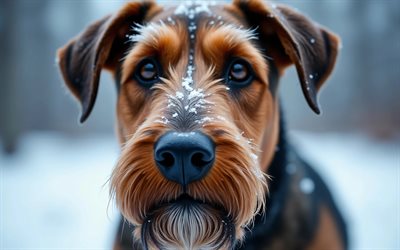 terrier airedale, 4k, de cerca, invierno, bokeh, bosque, perros, bozal, animales lindos, mascotas, perro en el bosque, perro airedale terrier