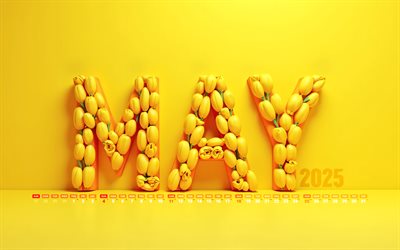 4k, 2025 mai kalender, gelbe tulpen buchstaben, mai 2025, frühlingskalender, gelbe hintergründe, mai 2025 kalender, gelbe tulpen, gelbe 3d  buchstaben, 2025 konzepte, mai kalender, 2025 kalender, mai