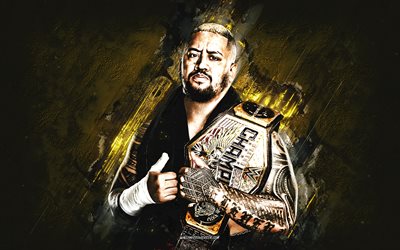 solo sikoa, wwe, luchador americano, fondo de piedra amarilla, luchadora bayley, campeón de la wwe, arte grunge, eeuu, lucha, joseph yokozuna fatu, solo sikoa wwe, entretenimiento de lucha libre mundial
