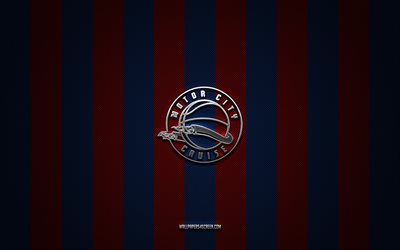 Motor City Cruise logo, American basketball club, NBA G League, red blue carbon background, Motor City Cruise emblem, basketball, Motor City Cruise, USA