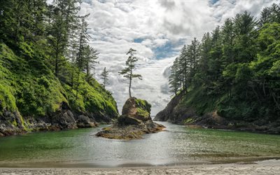 beautiful bay, mountain landscape, mountain lake, island with a tree, beautiful scenery, forest, beach