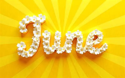 4k, June, creative, white floral letters, yellow abstract background, June concepts, names of months, June inscription, June word, background with June