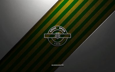 Esenler Erokspor logo, 4k, steel background, Turkish football club, green yellow lines, Esenler Erokspor emblem, TFF 1 Lig, Esenler Erokspor, Turkey, football, Esenler Erokspor metal logo, Esenler Erokspor crest