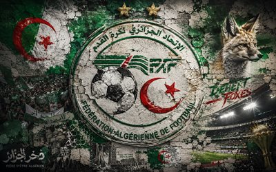 Algeria national football team logo, 4K, stone background, Algeria national football team, 2026 FIFA World Cup, mural art, football, Algeria