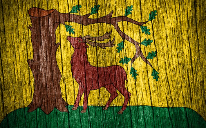 4k, drapeau du berkshire, jour du berkshire, comtés anglais, drapeaux de texture en bois, comtés d angleterre, berkshire, angleterre