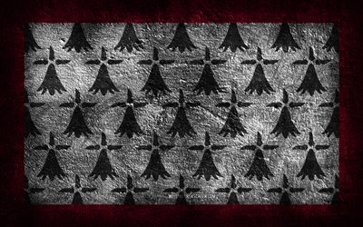 4k, Limousin flag, French province, stone texture, Flag of Limousin, stone background, Provinces of France, Day of Limousin, grunge art, Limousin province, French national symbols, Limousin, France