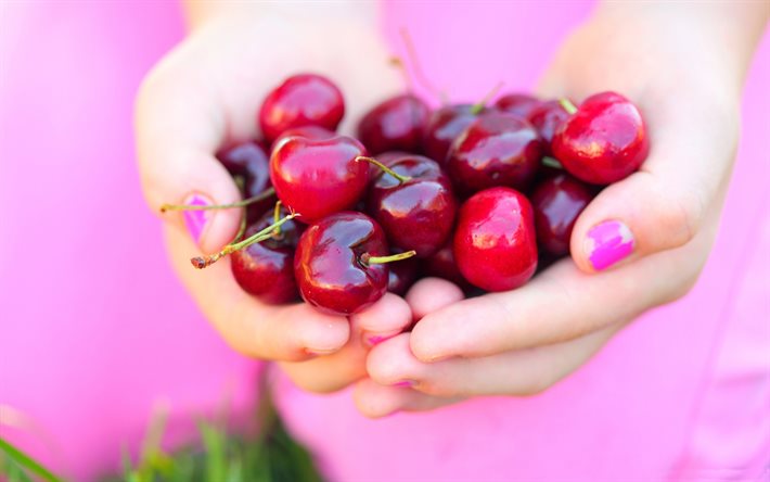 cherries in hand, macro, bokeh, blurred backgrounds, close-up, fresh fruits, picture with cherry, fruits, cherries
