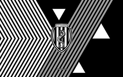 logo cesena fc, 4k, squadra di calcio italiana, sfondo di linee bianche nere, cesena fc, serie b, italia, line art, emblema cesena fc, cesena, calcio