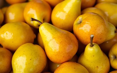 peras amarillas, 4k, frutas de otoño, frutas frescas, peras premium, frutas maduras, peras maduras, de cerca, fondo con peras, frutas, peras