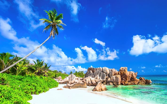 tropical islands, beach, sand, palm trees, ocean, rocks