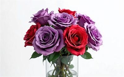 4k, bouquet di rose viola e rosse, sfondo bianco, rose viola, rose rosse, fiori 3d, rose 3d, bouquet roses, fiori rossi, rose, sfondo con rose rosse e viola