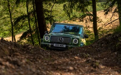 4k, メルセデスベンツg 500 amgライン, 森, 2025車, 未舗装道路, 英国スペック, グリーンゲレンドヴァーゲン, 高級車, br 463, 2025メルセデスベンツgクラス, ドイツの車, メルセデス, gelendvagen