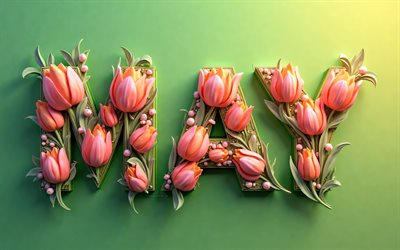4k, maggio, tulips 3d rosa, sfondi verdi, opera d'arte, creativo, lettere floreali 3d, possa stile floreale, 3d art, possa parola, fiori 3d rosa, nome di maggio, maggio di sfondi
