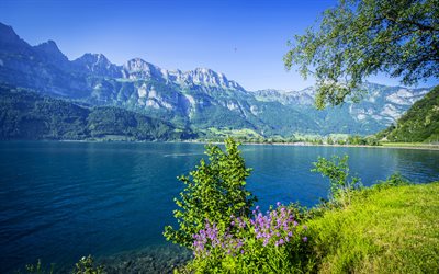 El lago de Walen, montaña, lagos, verano, Walensee, Alpes, Suiza
