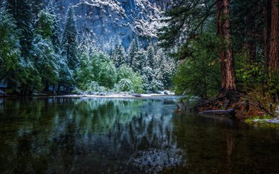 mountain river, winter, forest, trees