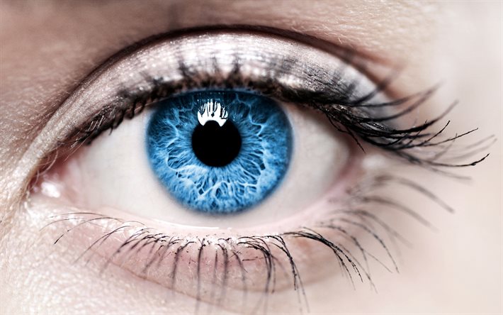 olhos azuis, olho feminino, macro, olhos