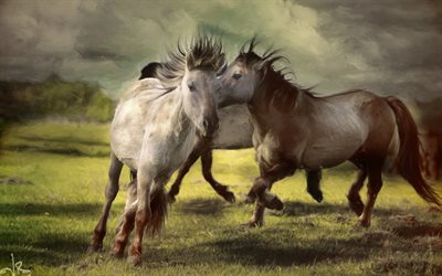 hästar, målad häst, målade djur, häst