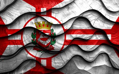 4k, Sao Paulo flag, cities of Brazil, wooden 3D waves flags, Day of Sao Paulo, flag of Sao Paulo, Brazil, Sao Paulo wooden flag, brazilian cities, Sao Paulo