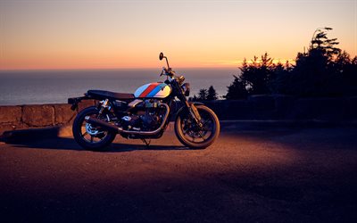 2026, triumph speed ​​​​twin 900, 4k, yan görünüm, dış, yeni speed ​​twin 900 2026, zafer motosikletleri, ingiliz motosikletleri, zafer