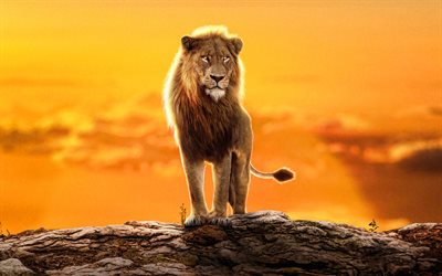 simba, 4k, affiche, film 2022, la fierté du roi lion ii simbas, disney, ouvrages d'art, le roi lion