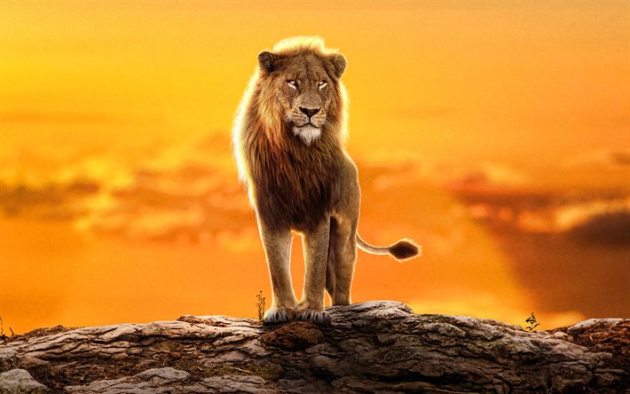 Simba, 4k, poster, 2022 movie, The Lion King II Simbas Pride, Disney, artwork, The Lion King
