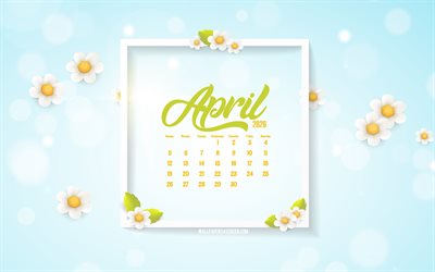 2026 April Calendar, 4k, spring backgrounds, April Calendar 2026, daisies, 2026 concepts, April, background with daisies, April 2026 Calendar