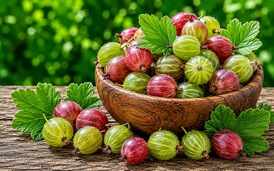 4k, puinen kulho karviaismarjoilla, bokeh, kypsiä marjoja, kesän hedelmiä, tuoreita hedelmiä, kesä, lähikuva, kypsiä hedelmiä, kypsiä karviaisia, marjoja, tausta karviaisia, hedelmiä, karviaisia