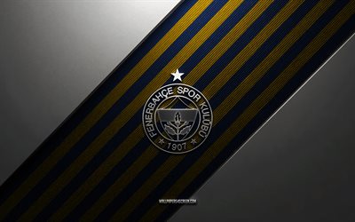 fenerbahce sk logo, 4k, teräs tausta, turkin jalkapalloseura, siniset keltaiset viivat, fenerbahce sk:n tunnus, fenerbahcen logo, super lig, fenerbahce sk, turkki, jalkapallo, fenerbahce sk metallilogo, fenerbahce