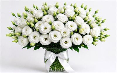 white eustoma, 4k, minimalism, glass vase, bokeh, bouquet of eustoma, white background, beautiful flowers, background with eustoma, white flowers, eustoma