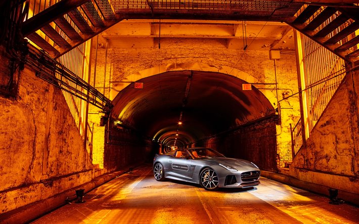 tunnel, 2016, la Jaguar F-Type SVR, supercars, route, Avenue du Parc Tunnel, rodsters, gris Jaguar