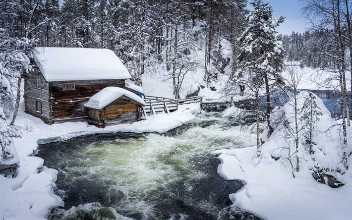 핀란드, hut, 겨울, 숲, 강, 눈, 드리프트