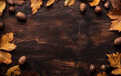 rahmen der herbstblätter, herbstkonzepte, herbstrahmen, gelbe blätter, holzstruktur, eicheln