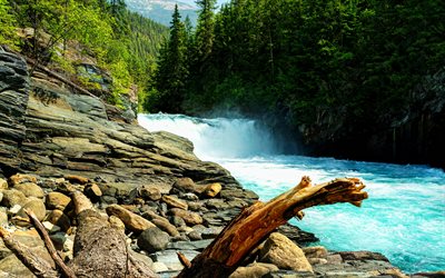 overlander fällt, 4k, fraser river, wasserfälle, sommer, mount robson provincial park, british columbia, kanada, schöne natur, hdr, wald