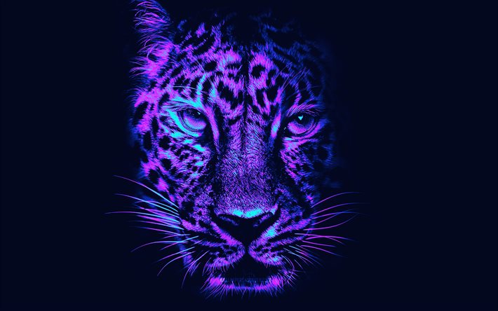 abstrakti jaguaari, 4k, minimalismi, kyberpunk, abstrakteja eläimiä, villieläimiä, saalistajat, jaguaari, panthera onca, tiikerit, kuva tiikerin kanssa, luova, jaguar cyberpunk