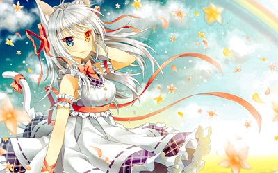 Catgirl, nekomusume, kemonomimi character, nekomimi, anime characters, japanese manga, Catgirl characters