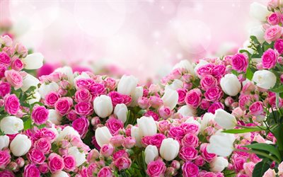 rosas, tulipanes blancos, la composición, el resplandor