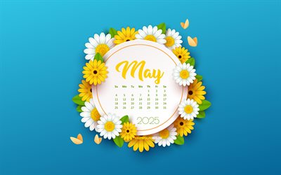 4k, mai 2025 calendrier, modèle de printemps bleu, 2025 mai calendrier, fond bleu avec des fleurs jaunes blanches, peut, calendrier du printemps 2025, 2025 concepts